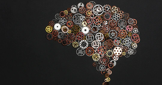 Jobb agyféltekés tanulás – mítosz vagy valóban működik?