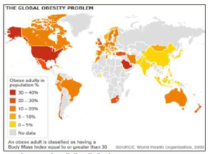 kórosan elhízott súlycsökkenési arány ems 24 karcsúsító