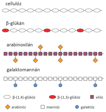 Innovativ Takarmanyozas 2 4 2 Szenhidratok Mersz