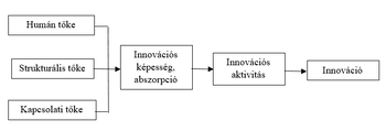 Folyamatábra az innovációs folyamat bemutatására: humán, strukturális, kapcsolati tőke, innovációs képesség, abszorpció, aktivitás és innováció.