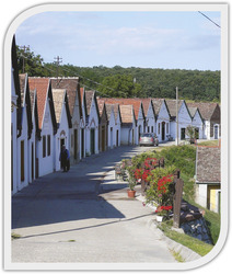 Hagyományos magyar borospincek egy domboldalon Hagyományos magyar borospincek sorakoznak egy domboldalon, fehér épületek és különböző színű tetők láthatók.