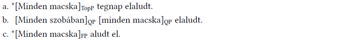 Nyelvtani szerkezetek és jelölések három mondatban Három mondat nyelvtani szerkezetekkel és jelölésekkel: TopP, QP, FP.