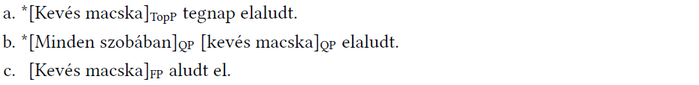 Nyelvi szerkezetek példái mondatokban Három mondat nyelvi szerkezetekkel: kevés macska elaludt, TopP, QP, FP.