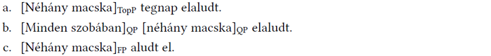 Nyelvi szerkezetek három mondatban Három mondat különböző nyelvi szerkezetekkel, macskák elalvásáról.