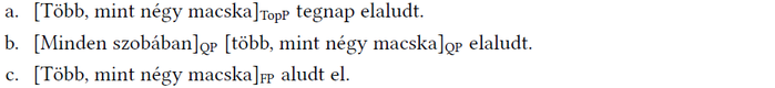 Nyelvi szerkezetek három mondatban Három mondat különböző nyelvi szerkezetekkel, macskákról és elalvásról.