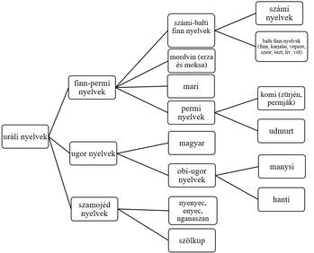 Az uráli nyelvek családfája Az uráli nyelvek családfája, amely bemutatja a nyelvcsalád különböző ágait és alnyelveit.
