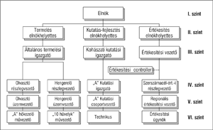 Vállalati szervezeti struktúra különböző vezetői szintekkel Vállalati szervezeti struktúra, amely bemutatja a vezetői pozíciókat és részlegeket különböző szinteken.