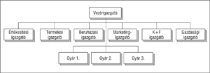 Vállalati szervezeti struktúra, vezérigazgató és igazgatók, valamint gyárak hierarchiája.
