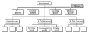 Vállalati szervezeti struktúra, vezérigazgató, igazgatók, divízióigazgatók és vezetők hierarchiája.