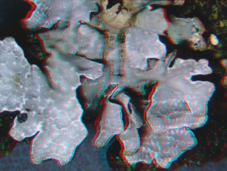 3D absztrakt mintázat színes textúrákkal 3D hatású, színes, absztrakt mintázat különböző textúrákkal és formákkal