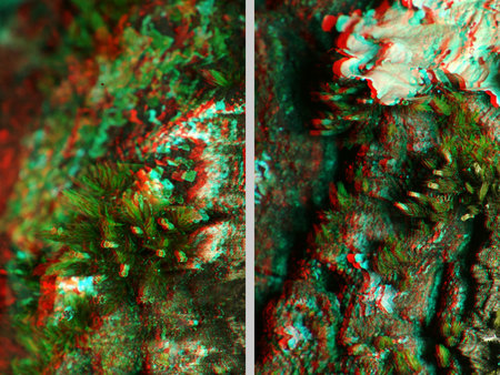 Anaglif technikával készült 3D kép, amely sziklát és rajta növekvő mohát ábrázol.