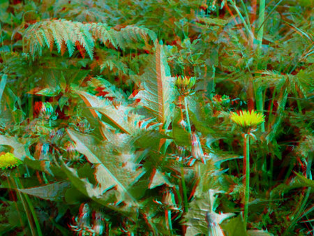 3D hatású növények egy erdős területen Színes, 3D hatású növényekkel teli erdős terület, különböző növények és virágok láthatók.