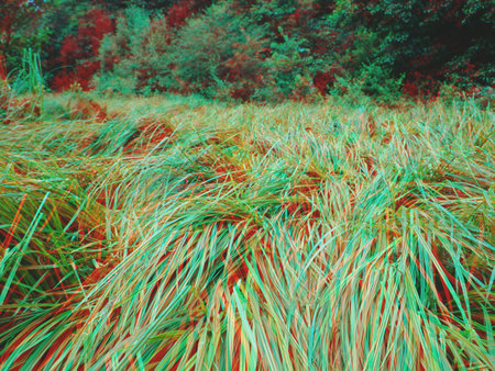 Színes, 3D hatású mező tele fűvel, háttérben bokrokkal, természetes környezetben.