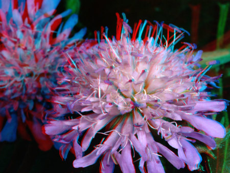 Egy virág 3D hatású, színes megjelenítéssel, közelről fényképezve.