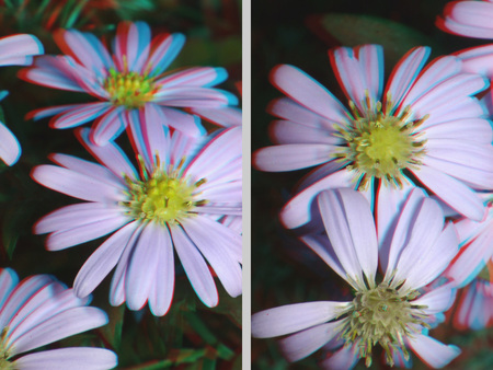 3D hatású lila virágok Lila virágok 3D hatású megjelenítéssel, közelről fotózva.