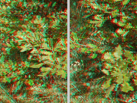 3D hatású kép, amely zöld növényeket és füvet ábrázol anaglyph technikával.