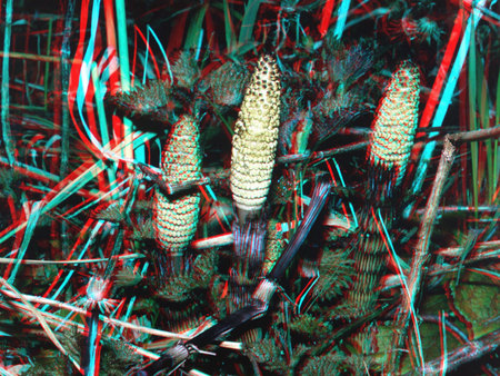 3D hatású kép, amely különböző növényeket és leveleket ábrázol, piros és kék színekkel.