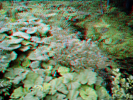 3D hatású kép, amely egy természetes tájat ábrázol tele zöld növényekkel és levelekkel.