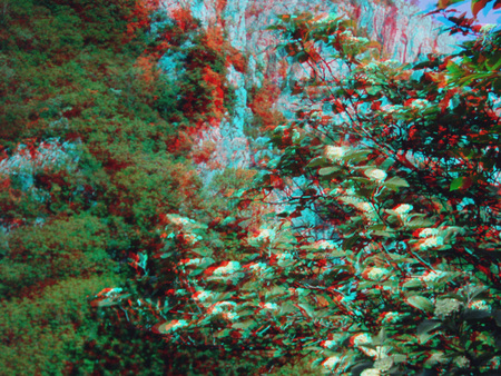 3D természetfotó növényekkel és virágokkal 3D hatású természetfotó zöld növényekkel és virágokkal, háttérben sziklás hegyoldal.