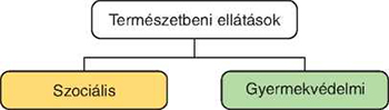 Természetbeni ellátások diagramja Diagram a természetbeni ellátásokról, szociális és gyermekvédelmi kategóriákkal.