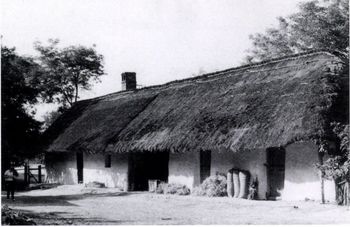 Hagyományos magyar parasztház nádtetővel Hagyományos magyar parasztház nádtetővel és fehérre meszelt falakkal, vidéki környezetben.