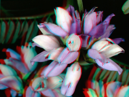 Egy 3D hatású virág, vörös és kék árnyalatokkal kiemelve.