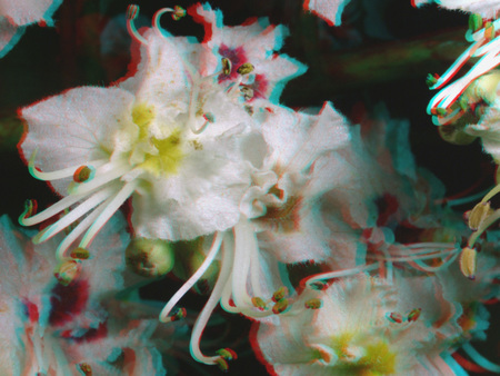 Fehér virág, amely 3D hatású megjelenítéssel van ábrázolva, közelről.