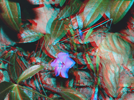 Egy virág 3D hatású színes szűrővel ábrázolva, körülötte zöld levelek.
