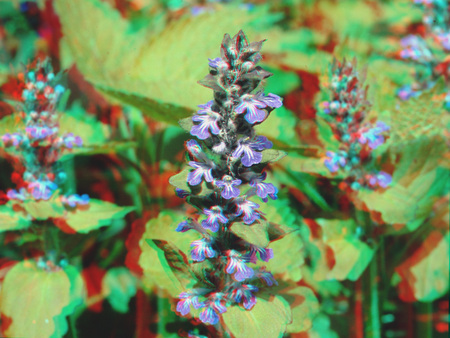 3D hatású virág, körülötte zöld levelek, színes természet