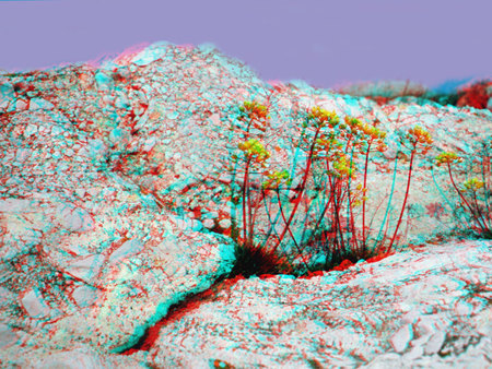 Sziklás táj kis növényekkel, 3D hatású kép vörös és kék szűrőkkel.