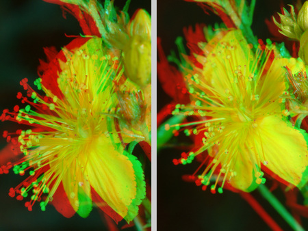 Sárga virág anaglif technikával, amely 3D hatást kelt, részletes virágszirmokkal és virágporral.