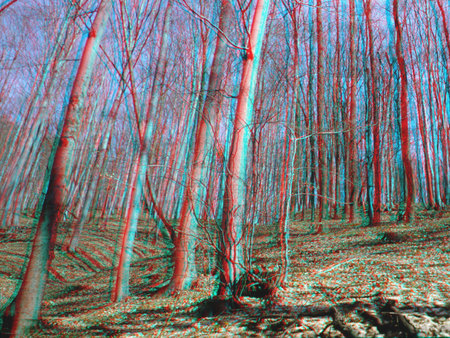 Erdő 3D anaglif technikával, vörös és kék színű fák.