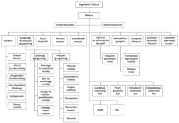 Egyetemi szervezeti struktúra ábrája Az egyetemi szervezeti struktúra ábrája, bemutatva az egyetem osztályait és csoportjait.