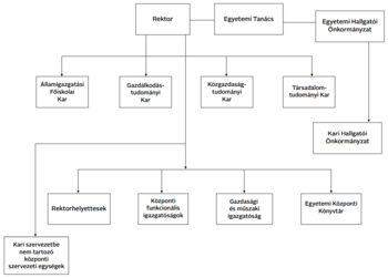 Egyetemi szervezeti struktúra diagram Egyetemi szervezeti struktúra, amely bemutatja a rektor, tanács, hallgatói önkormányzat és karok közötti kapcsolatokat.