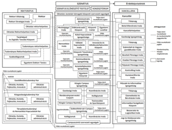 Egyetemi szervezeti struktúra ábrája Egyetemi szervezeti struktúra, rektorátus, szenátus, konzisztórium, kancellária és karok bemutatása.