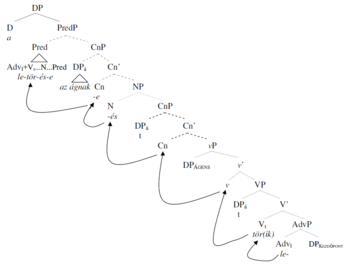 Magyar nyelvtani fa diagram a mondat szerkezetével Nyelvtani fa diagram, amely a magyar mondat szerkezetét és nyelvtani kategóriáit mutatja be.