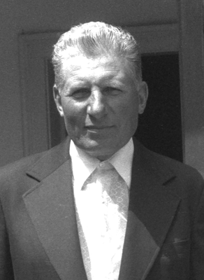 Elegáns férfi öltönyben és nyakkendőben, klasszikus megjelenés.