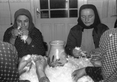 Idős asszonyok tollat fosztanak egy asztal körül ülve, hagyományos tevékenység keretében.