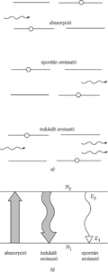 Abszorpció, spontán és indukált emisszió folyamatok Diagram az abszorpció, spontán emisszió és indukált emisszió folyamatokkal, energia szintekkel.