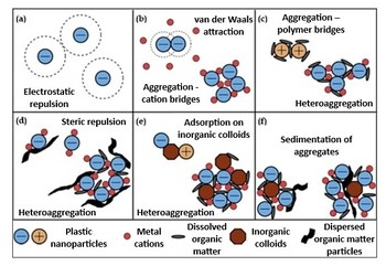 Diagram különböző aggregációs folyamatokról műanyag nanorészecskék, fém kationok, szerves és szervetlen anyagok között.