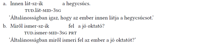 Általános igazságok a látásról és felismerésről Két mondat a látás és felismerés általános igazságairól, hegycsúcs és jó oktató.