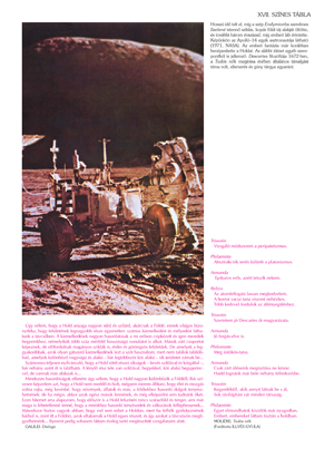 Apollo-14 asztronauta a Hold felszínén Apollo-14 asztronauta a Hold felszínén, mellette egy holdjáró. Szöveges információk a Holdról és filozófiai idézetek.