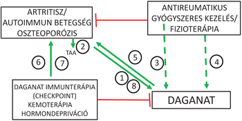Betegségek és kezelések közötti kapcsolatok diagramja Diagram, amely artritisz, autoimmun betegség, oszteoporózis, daganat immunterápia, kemoterápia, hormondepriváció, antireumatikus kezelés és fizioterápia közötti kapcsolatokat mutatja.