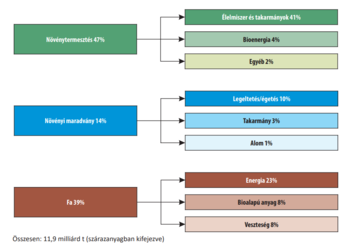 Diagram a biomassza felhasználásáról növénytermesztés, növényi maradvány és fa kategóriákban.
