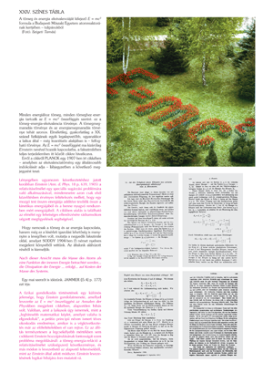 E=mc² formula tulipánokból kirakva a Budapesti Műszaki Egyetem atomreaktorának kertjében, fotó: Szigeti Tamás