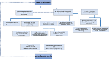 Folyamatábra az egészségműveltség és egészségmagatartás összefüggéseiről, tizenévesek és Covid19.