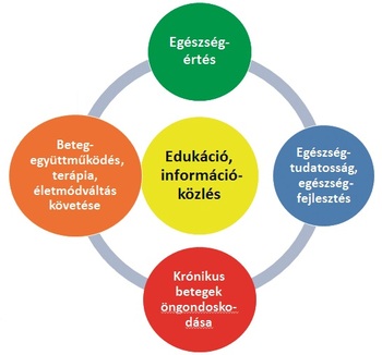 Kördiagram az egészségügyi edukációról és információközlésről, beleértve egészségértést, egészségtudatosságot, krónikus betegek önondoskodását és beteg-együttműködést.