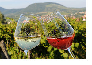 Két borospohár, egy fehér és egy vörös borral, háttérben szőlőültetvények és hegyek. A poharakon az 'Egri Bor Ünnepe' felirat látható.