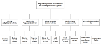 Magyar Királyi József nádor Műszaki és Gazdaságtudományi Egyetem szervezeti felépítése A Magyar Királyi József nádor Műszaki és Gazdaságtudományi Egyetem szervezeti felépítése, karok és osztályok bemutatása.