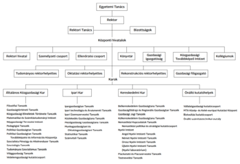 Egyetemi szervezeti felépítés Egyetemi szervezeti felépítés, amely bemutatja a tanács, rektor, hivatalok, karok és kutatóhelyek struktúráját.